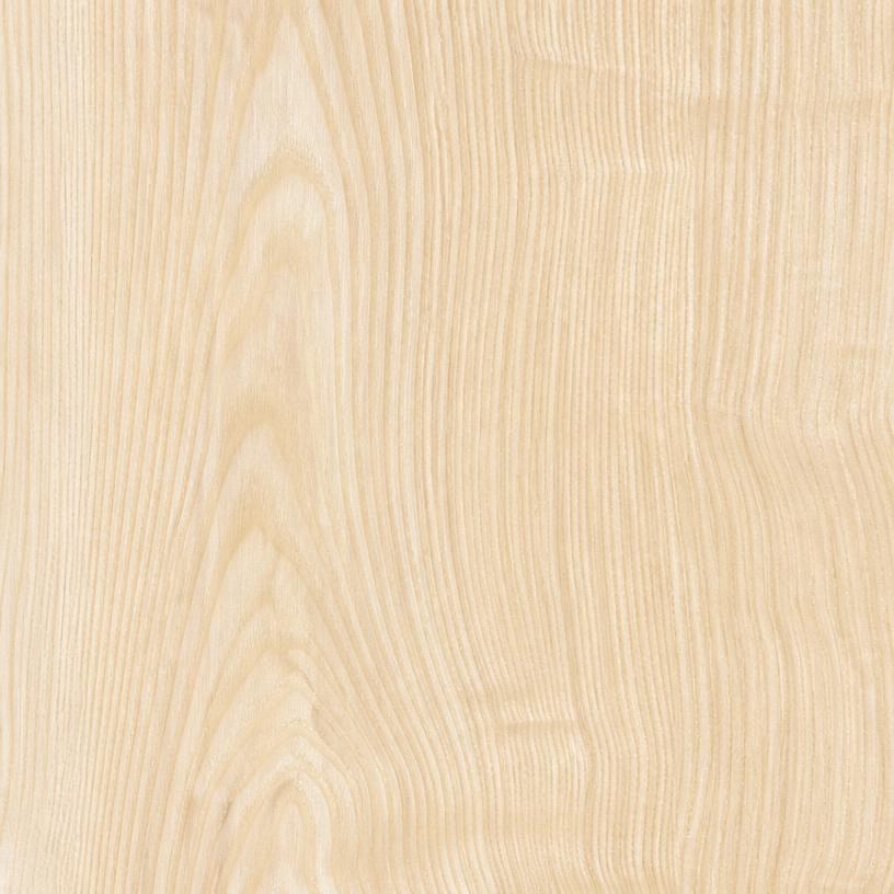 Ask træ
